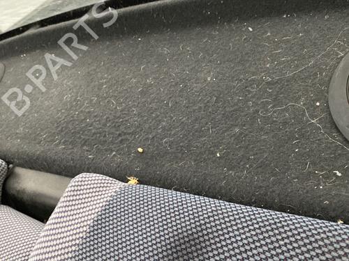 BP32208026C85 main image