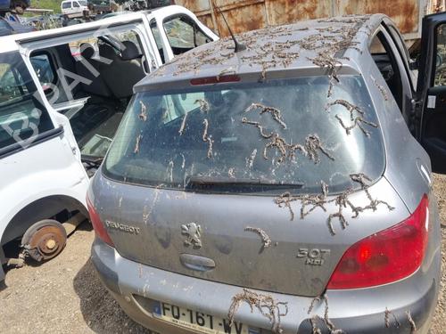 Tailgate PEUGEOT 307 (3A/C) 2.0 HDi 110 | BP19911796C6 