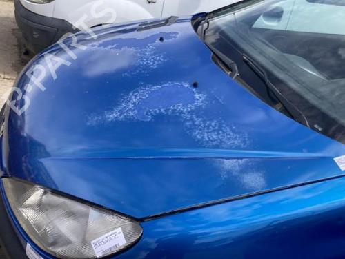 Used Hood PEUGEOT 206 Hatchback (2A/C) [1998-2012]  22121386