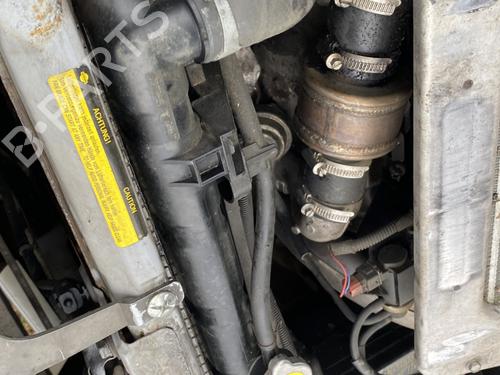 Used Water radiator NISSAN X-TRAIL I (T30) 2.2 Di 4x4 (114 hp) 31994816