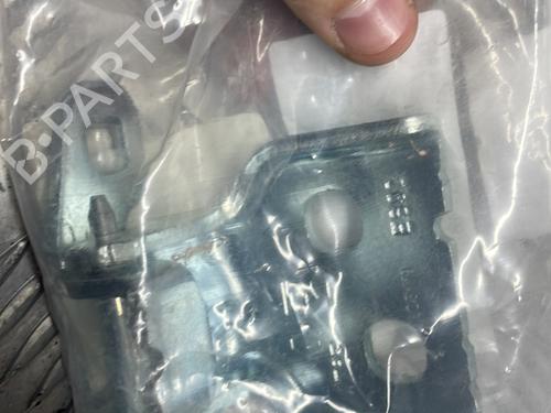 hingedoor-check-strap-dacia-sandero-ii-2012-29188633 main image