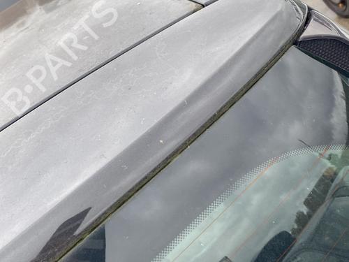 Bakluke CC/Kombi-Kupé RENAULT GRAND SCÉNIC II (JM0/1_) 2.0 dCi (JM1K) | BP29913660C6