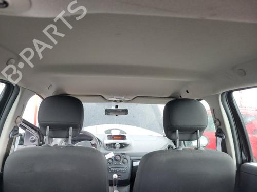 Used Interior roof Interior roof RENAULT CLIO III (BR0/1, CR0/1) 1.2 16V (BR02, BR0J, BR11, CR02, CR0J, CR11) (75 hp) 20174255 20174255