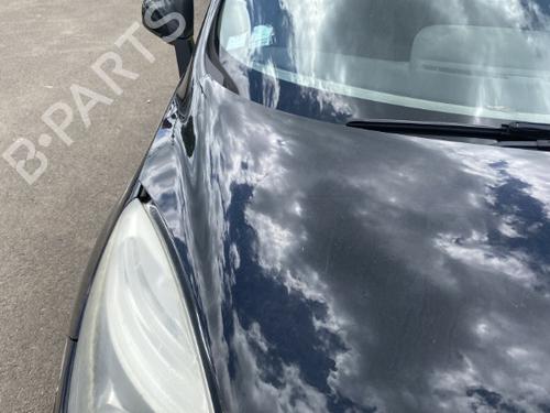 Hood RENAULT SCÉNIC III (JZ0/1_) 1.5 dCi (JZ02, JZ0R) | BP19907031C1