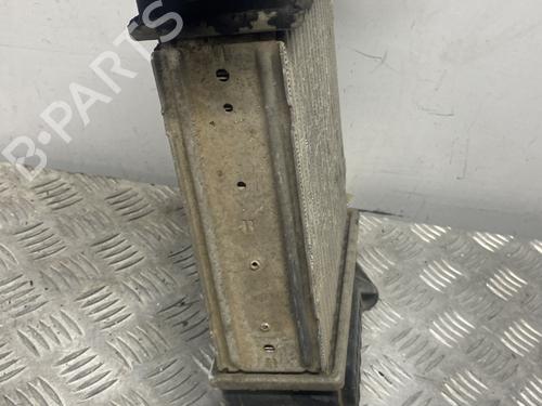 Used Intercooler Intercooler RENAULT CLIO III (BR0/1, CR0/1) 1.4 16V (98 hp) 27893695 27893695