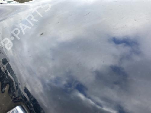 Hood RENAULT TWINGO I (C06_) 1.2 (C066, C068) | BP29455438C1 
