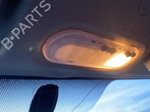 Interior roof light RENAULT KANGOO Express (FW0/1_) 1.5 dCi 95 (FW16) | BP29959023I8