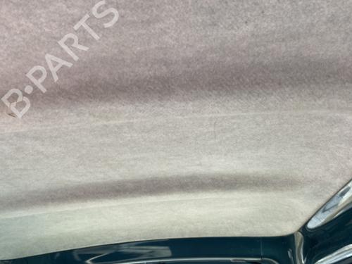 Interior roof RENAULT KANGOO (KC0/1_) D 65 1.9 (KC0E, KC02, KC0J, KC0N) | BP30133055I12