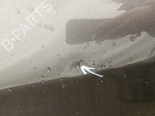 Left rear door PEUGEOT 208 I (CA_, CC_) 1.6 HDi / BlueHDi 75 | BP30760486C4