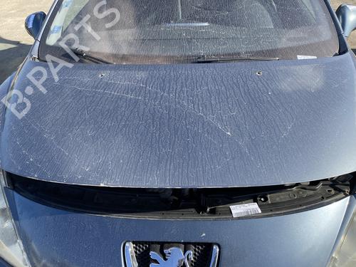 Used Hood PEUGEOT 207 (WA_, WC_) 1.6 HDi (90 hp) 29599663
