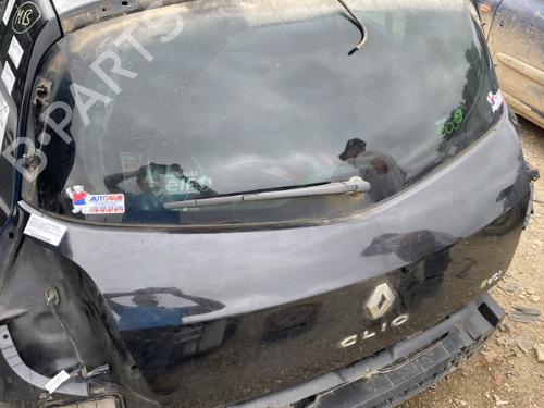 Tailgate RENAULT CLIO III (BR0/1, CR0/1) 1.5 dCi | BP22122684C6