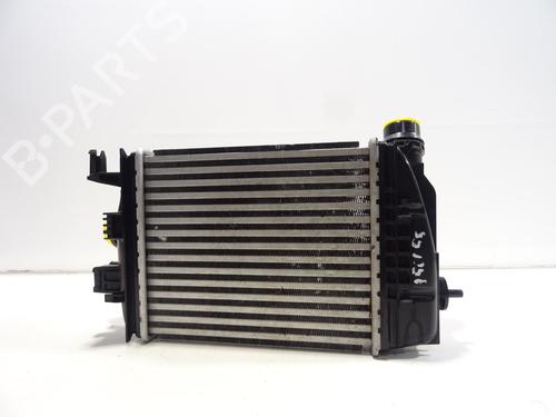 Intercooler RENAULT CLIO V (B7_) 1.0 TCe 100 (B7MT) | BP29066042M30  - Image 6