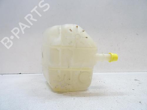 Expansion tank RENAULT KANGOO Express (FW0/1_) Z.E. (FW0Z, FW1Z) | BP20053547C120 