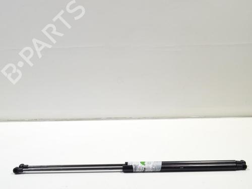 Used Tailgate lift support NISSAN JUKE (F15) 1.5 dCi (110 hp) 21169812