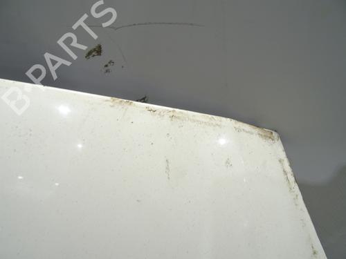 Hood FORD FOCUS C-MAX (DM2) 1.8 TDCi | BP29142574C1