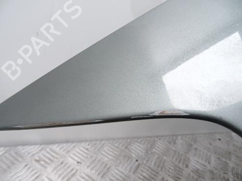 Left front fenders VW GOLF PLUS V (5M1, 521) 1.9 TDI | BP29360183C41 