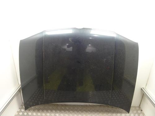Used Hood VW GOLF IV (1J1) 1.6 16V (105 hp) 24198747
