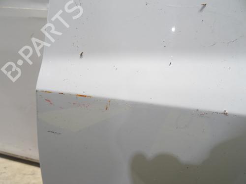 Left front door RENAULT CLIO III (BR0/1, CR0/1) 1.2 16V Hi-Flex (BR1U, CR1U) | BP29020593C2 