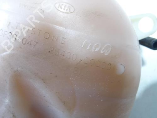 Expansion tank HYUNDAI GETZ (TB)  | BP25594354C120 