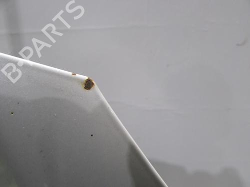 Used Hood Hood RENAULT KOLEOS I (HY_) 2.0 dCi 4x4 (HY0K) (150 hp) 22200079 22200079