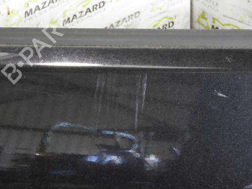 Left rear door VW POLO (9N_, 9A_)  | BP20041029C4 