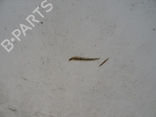 Used Right rear door Right rear door PEUGEOT 504 Pickup (E_) 2.3 D (69 hp) 31286985 31286985