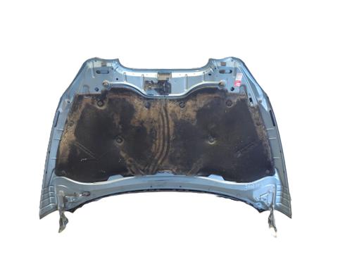 Used Hood Hood SEAT TOLEDO III (5P2) 1.9 TDI (105 hp) 33609859 33609859