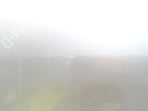 Dør venstre bagtil DACIA SANDERO 1.6 MPI 85 (BS03) | BP28494272C4 