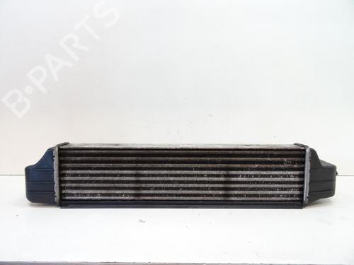 Used Intercooler Intercooler BMW 3 (E90) [2004-2012] 20066233 20066233