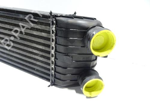 Intercooler PEUGEOT 207 (WA_, WC_) 1.6 HDi | BP29865852M30 