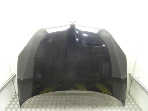 Used Hood SKODA ROOMSTER (5J7) 1.9 TDI (105 hp) 28084482