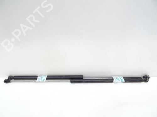 Used Hood lift support PEUGEOT 106 II (1A_, 1C_) 1.0 i (50 hp) 21968068