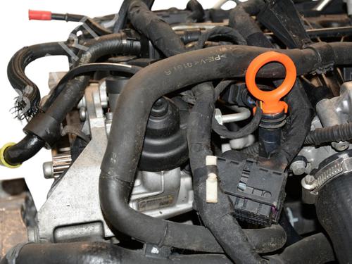 Engine VW GOLF VI (5K1) 1.6 TDI | BP36673639M1 - Image 4