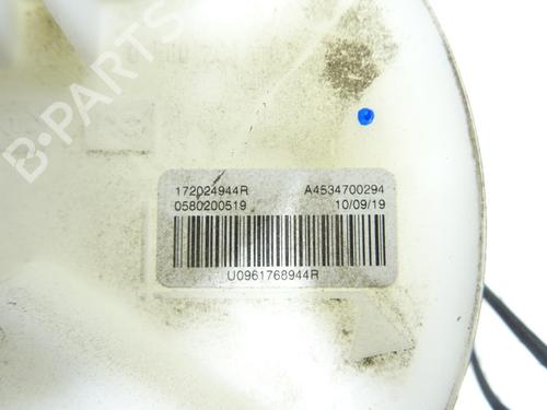 Pompe à carburant RENAULT TWINGO III (BCM_, BCA_) 0.9 TCe 95 | BP29838639M76
