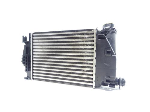 Intercooler NISSAN QASHQAI II (J11, J11_) 1.6 dCi ALL MODE 4x4-i | BP29563808M30 