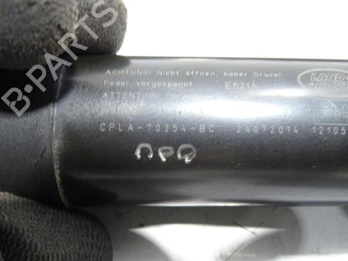 Used Tailgate lift support Tailgate lift support LAND ROVER RANGE ROVER SPORT II (L494) 4.4 SDV8 4x4 (340 hp) 29511801 29511801