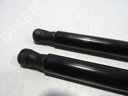 Tailgate lift support RENAULT CLIO V (B7_) 1.0 TCe 100 (B7MT) | BP29071384C138 