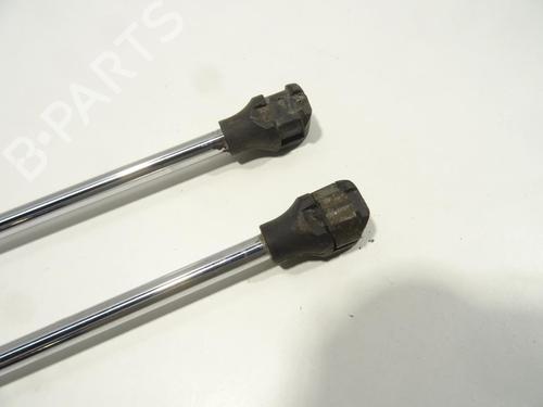 Tailgate lift support CITROËN EVASION MPV (22, U6)  | BP27220482C138 