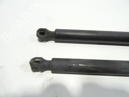Tailgate lift support CITROËN EVASION MPV (22, U6)  | BP27220482C138 