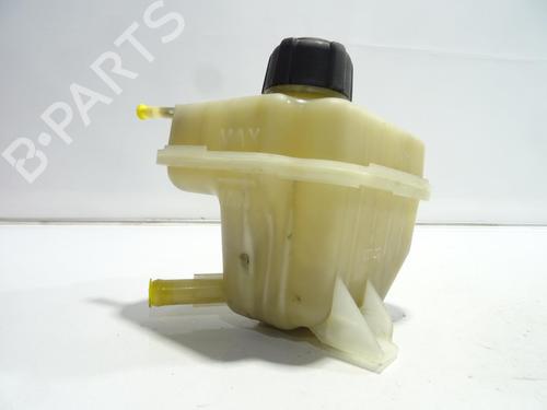 Used Expansion tank NISSAN QASHQAI / QASHQAI +2 I (J10, NJ10, JJ10E) 2.0 dCi (150 hp) 25759321