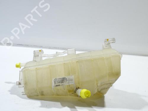 Expansion tank RENAULT KANGOO / GRAND KANGOO II (KW0/1_) 1.5 dCi 85 (KW0K, KW0L, KW0B) | BP21095719C120 