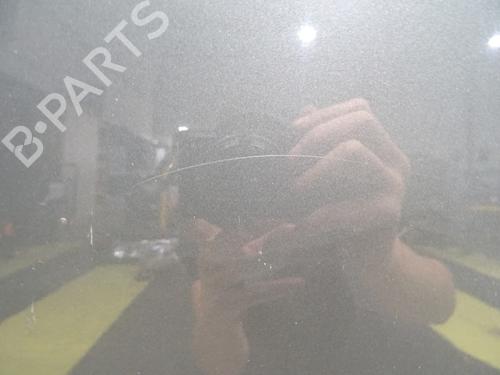 Left front door VW GOLF PLUS V (5M1, 521) 1.9 TDI | BP29340794C2