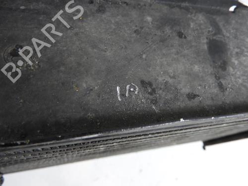 Used Intercooler NISSAN NAVARA NP300 (D40) 2.5 dCi 4WD (171 hp) 21968241