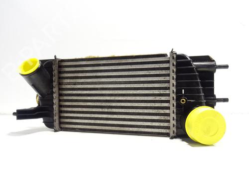 Used Intercooler NISSAN JUKE (F15) [2010-2019]  30592476