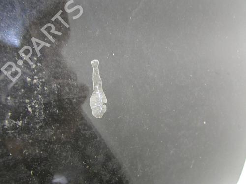 Left rear door RENAULT CLIO III (BR0/1, CR0/1) 1.5 dCi (BR17, CR17) | BP20062307C4 