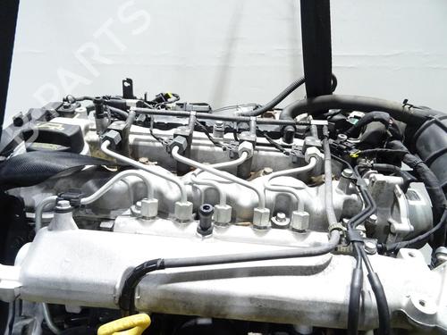 Engine KIA VENGA (YN) 1.4 CRDi 90 | BP29935348M1 