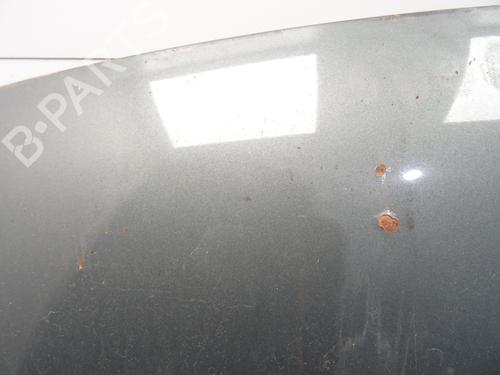 Hood VW GOLF PLUS V (5M1, 521) 1.9 TDI | BP29340763C1 
