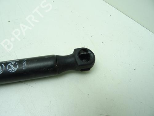 hood-lift-support-audi-a5-8t3-2007-2008-2009-2010-2011-2012-2013-2014-2015-2016-2017-31308374 main image