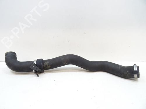 Pipe DACIA SANDERO 1.5 dCi | BP20055210M125 