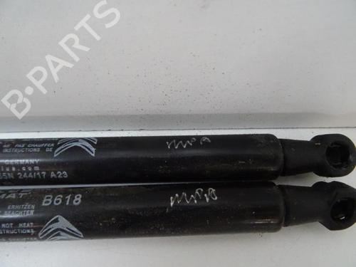 Used Tailgate lift support Tailgate lift support CITROËN C3 III (SX) 1.2 VTi 82 (82 hp) 20069565 20069565